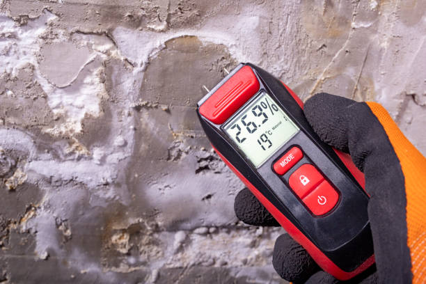 Best Kitchen Mold Remediation in Pocahontas, AR