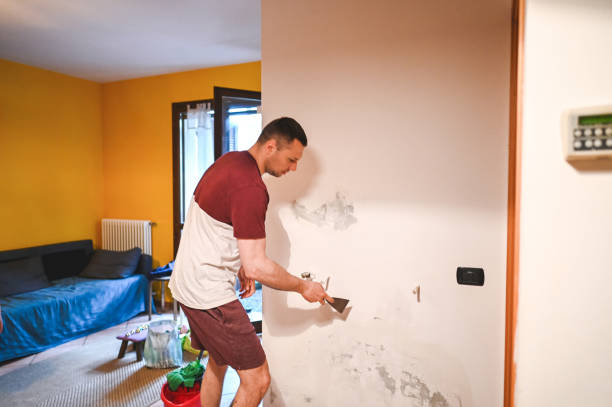 Best Insurance-Related Mold Remediation in Pocahontas, AR